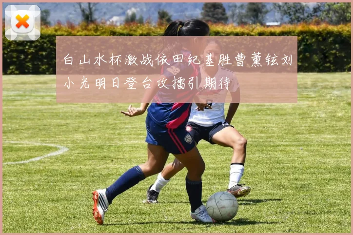 白山水杯激战依田纪基胜曹薰铉刘小光明日登台攻擂引期待