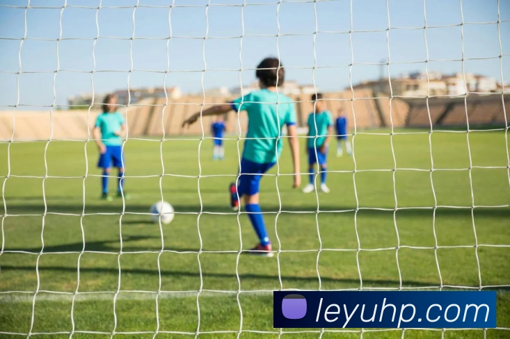 乐鱼体育发展历程